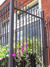 Picture of patio entrance to Downtown 202