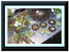 Birds and Nests
